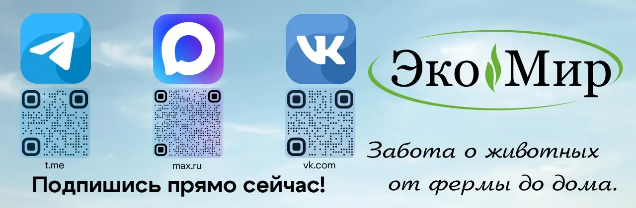 Соцсети