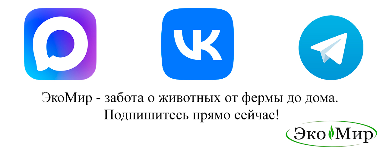 ЭкоМир в социальных сетях