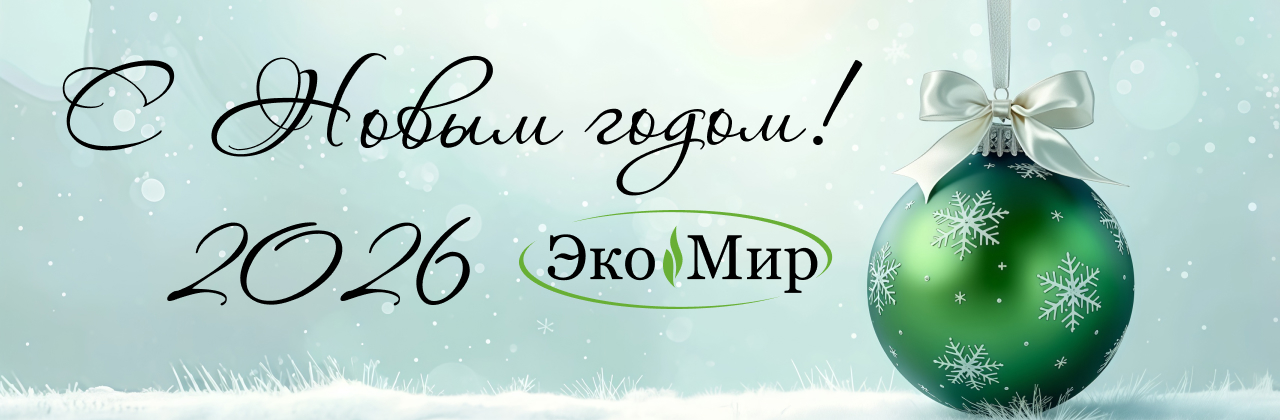 С Новым годом 2026!!!
